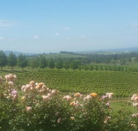 Ultimate Mornington Peninsula Food and Wine Small Group Tour - Lennox Head Accommodation