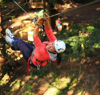 Tree Ropes and Zipline Experience in The Dandenong Ranges - Lennox Head Accommodation