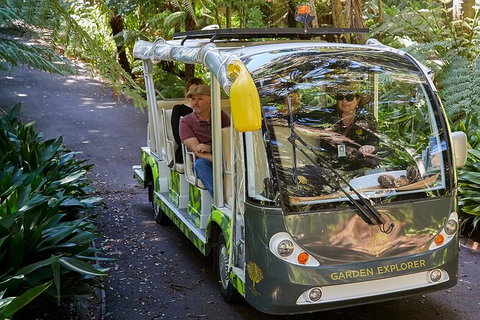 The Explorer - Melbourne Gardens - Lennox Head Accommodation 2