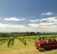 Private Tour Mornington Peninsula Behind-the-Scenes Gourmet Food and Wine Tasting Experience - Lennox Head Accommodation