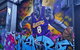 Small-Group Melbourne Sightseeing Tour - thumb 7