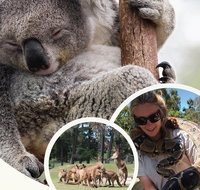 Ballarat Wildlife Park - Lennox Head Accommodation