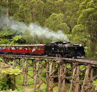 Perfect day in Melbourne for travelers on ocean cruise or short stay - Lennox Head Accommodation