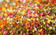 Flavors Of Melbourne Small-Group Food Walking Tours - thumb 3