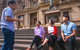 Expert Led Private Intro To Melbourne Tour - thumb 1