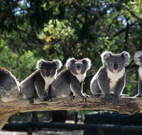 Private Melbourne Sightseeing Tour - Lennox Head Accommodation
