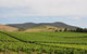 Private Yarra Valley Day Trip From Melbourne - thumb 0