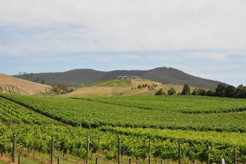 Private Yarra Valley Day Trip From Melbourne - Lennox Head Accommodation 0