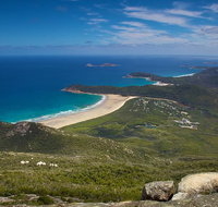 Wilson's Promontory  Phillip Island - 'Prom  Penguins' Tour - Lennox Head Accommodation