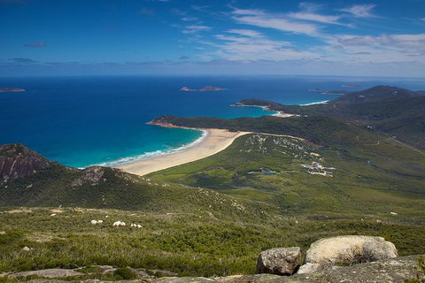 Wilson\'s Promontory & Phillip Island - \'Prom & Penguins\' Tour - Lennox Head Accommodation 0