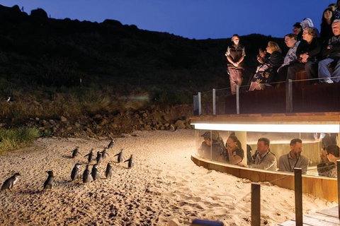Wilson\'s Promontory & Phillip Island - \'Prom & Penguins\' Tour - Lennox Head Accommodation 9