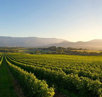 Small-Group Guided Yarra Valley Winery Tour with Wine Tasting - Lennox Head Accommodation