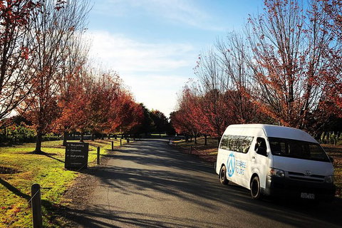 Small-Group Guided Yarra Valley Winery Tour With Wine Tasting - Lennox Head Accommodation 13