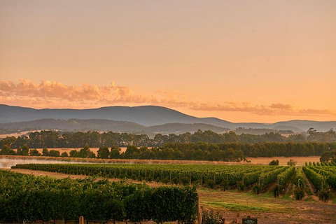 Yarra Valley Overnight Getaway And Private Wine Tour - For 2 - Lennox Head Accommodation 8