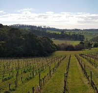 Yarra Valley Winery Private Tour - Lennox Head Accommodation