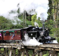 Dandenong Ranges  Puffing Billy - Lennox Head Accommodation