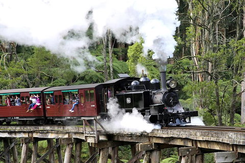 Dandenong Ranges & Puffing Billy - Lennox Head Accommodation 0