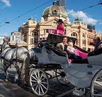 Melbourne Horse Drawn Carriages 30 Minute Garden tour - Lennox Head Accommodation