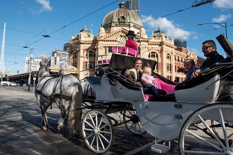 Melbourne Horse Drawn Carriages 30 Minute Garden Tour - Lennox Head Accommodation 0
