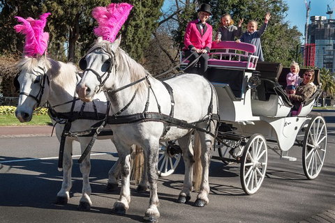 Melbourne Horse Drawn Carriages 30 Minute Garden Tour - Lennox Head Accommodation 1