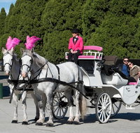 Melbourne Horse Drawn Carriages Ultimate Romance 1 Hour tour - Lennox Head Accommodation