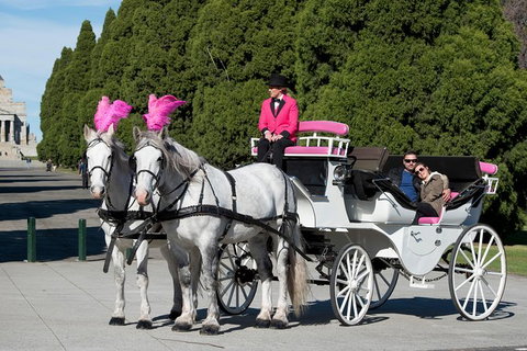 Melbourne Horse Drawn Carriages Ultimate Romance 1 Hour Tour - Lennox Head Accommodation 0