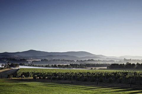 Luxury Chauffeured Yarra Valley Wine Tour With Lunch - For 2 - Lennox Head Accommodation 3