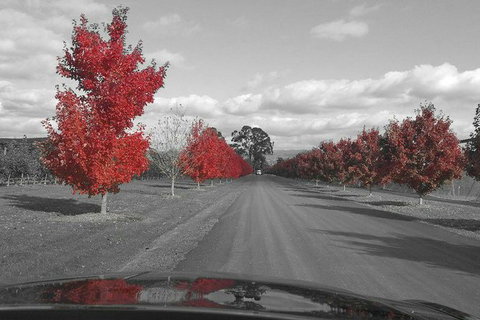 Luxury Chauffeured Yarra Valley Wine Tour With Lunch - For 2 - Lennox Head Accommodation 7