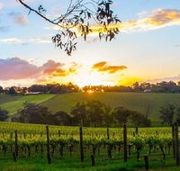 Winery Tours Melbourne - Lennox Head Accommodation