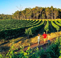 Private Tour Yarra Valley- Brewery Distillery and Wine - Lennox Head Accommodation