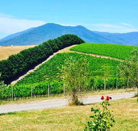 Private Winery Tour Yarra Valley Boutique Wine Trails From Melbourne - Lennox Head Accommodation