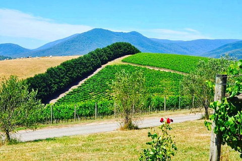 Private Winery Tour: Yarra Valley Boutique Wine Trails From Melbourne - Lennox Head Accommodation 0