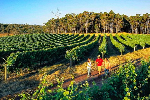 Private Winery Tour: Yarra Valley Boutique Wine Trails From Melbourne - Lennox Head Accommodation 1