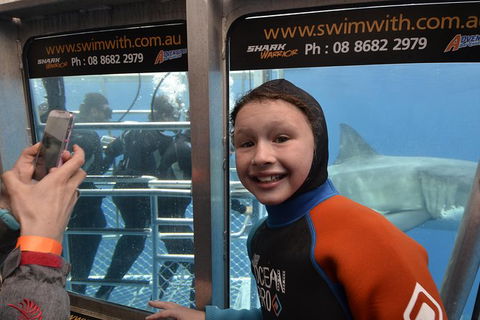 White Shark Tour With Optional Cage Dive From Port Lincoln - Lennox Head Accommodation 8