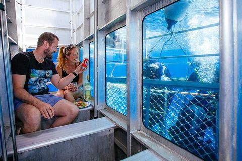 White Shark Tour With Optional Cage Dive From Port Lincoln - Lennox Head Accommodation 4
