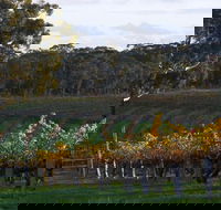 Barossa Valley with Hahndorf Tour from Adelaide - Lennox Head Accommodation