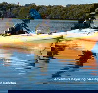 Adelaide Dolphin Sanctuary and Ships Graveyard Kayak Tour - Lennox Head Accommodation