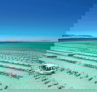 Coffin Bay Private Day Tour from Port Lincoln - A Taste of Coffin Bay - Lennox Head Accommodation