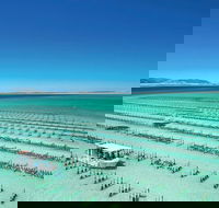 Coffin Bay Day Tour - A Taste of Coffin Bay - Lennox Head Accommodation