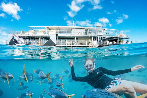 2-Day Great Barrier Reef Reefsleep Experience - Lennox Head Accommodation 8