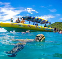 Ocean Rafting Tour to Whitehaven Beach Hill Inlet Lookout  Top Snorkel Spots - Lennox Head Accommodation