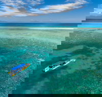 Ocean Safari Great Barrier Reef Experience in Cape Tribulation - Lennox Head Accommodation