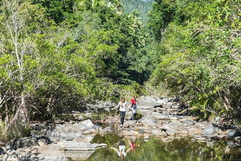 Whitsunday Segway Rainforest Discovery Tour - Lennox Head Accommodation 10