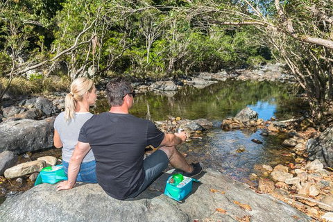 Whitsunday Segway Rainforest Discovery Tour - Lennox Head Accommodation 6