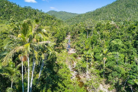 Whitsunday Segway Rainforest Discovery Tour - Lennox Head Accommodation 5