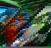 Skyrail Rainforest Cableway Day Trip from Palm Cove - Lennox Head Accommodation