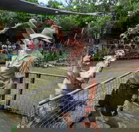 Hartley's Crocodile Adventures Day Trip from Cairns - Lennox Head Accommodation
