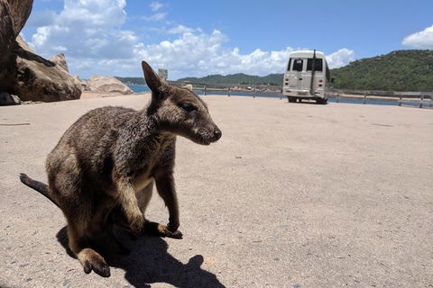 Magnetic Island Tour: Maggie Comprehensive - Lennox Head Accommodation 0