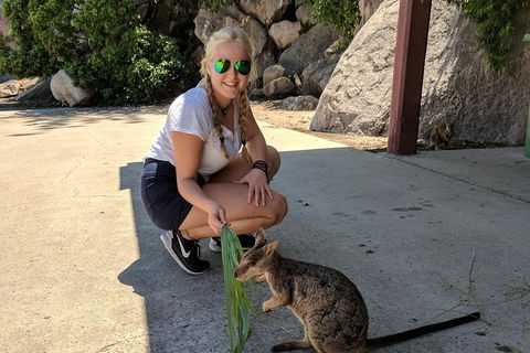 Magnetic Island Tour: Maggie Comprehensive - Lennox Head Accommodation 9