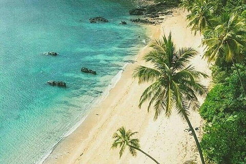 Dunk Island Round-Trip Water Taxi Transfer From Mission Beach - Lennox Head Accommodation 4